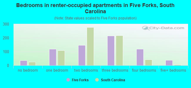 Bedrooms in renter-occupied apartments in Five Forks, South Carolina