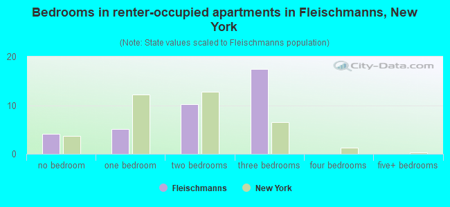 Bedrooms in renter-occupied apartments in Fleischmanns, New York