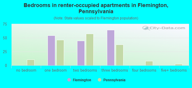 Bedrooms in renter-occupied apartments in Flemington, Pennsylvania