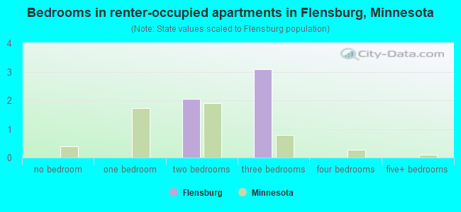 Bedrooms in renter-occupied apartments in Flensburg, Minnesota