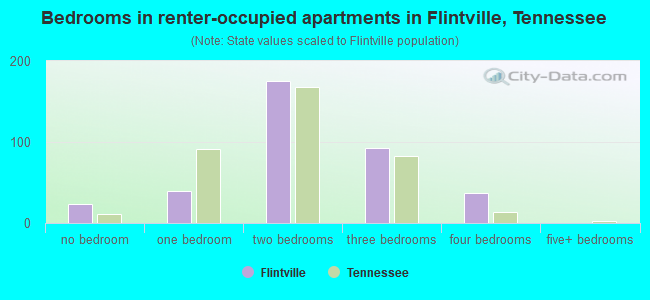 Bedrooms in renter-occupied apartments in Flintville, Tennessee
