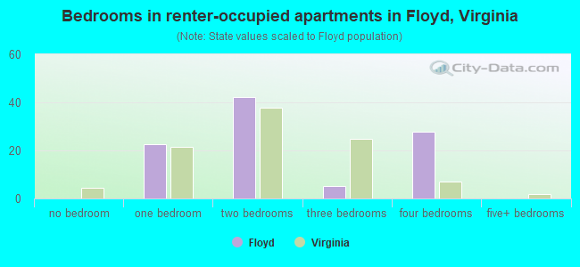 Bedrooms in renter-occupied apartments in Floyd, Virginia