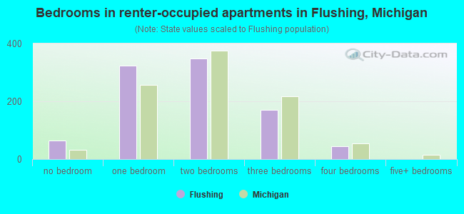 Bedrooms in renter-occupied apartments in Flushing, Michigan