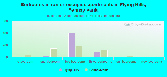 Bedrooms in renter-occupied apartments in Flying Hills, Pennsylvania
