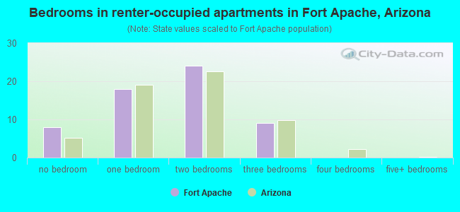 Bedrooms in renter-occupied apartments in Fort Apache, Arizona