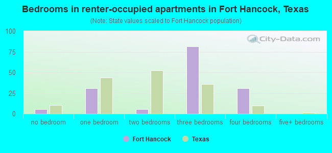 Bedrooms in renter-occupied apartments in Fort Hancock, Texas