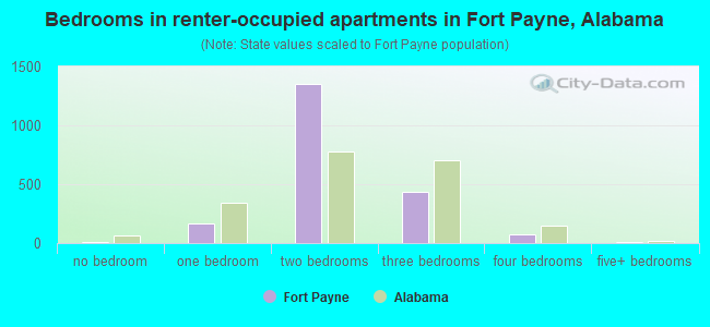 Bedrooms in renter-occupied apartments in Fort Payne, Alabama