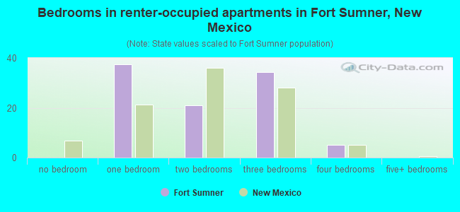 Bedrooms in renter-occupied apartments in Fort Sumner, New Mexico
