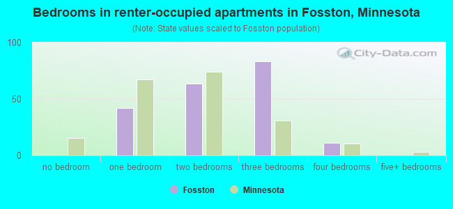 Bedrooms in renter-occupied apartments in Fosston, Minnesota