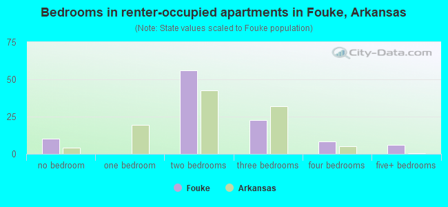 Bedrooms in renter-occupied apartments in Fouke, Arkansas