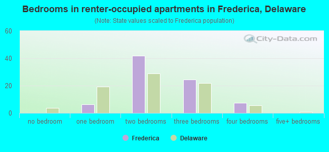 Bedrooms in renter-occupied apartments in Frederica, Delaware