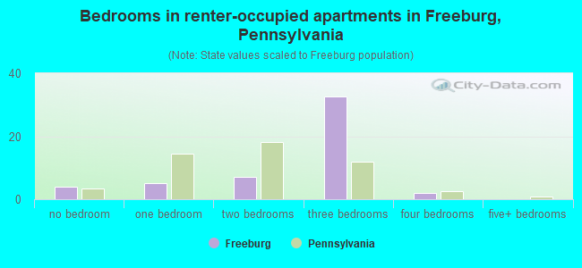 Bedrooms in renter-occupied apartments in Freeburg, Pennsylvania