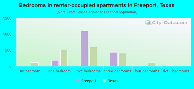 Bedrooms in renter-occupied apartments in Freeport, Texas