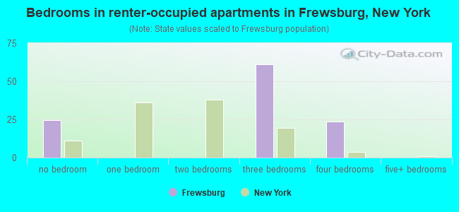 Bedrooms in renter-occupied apartments in Frewsburg, New York