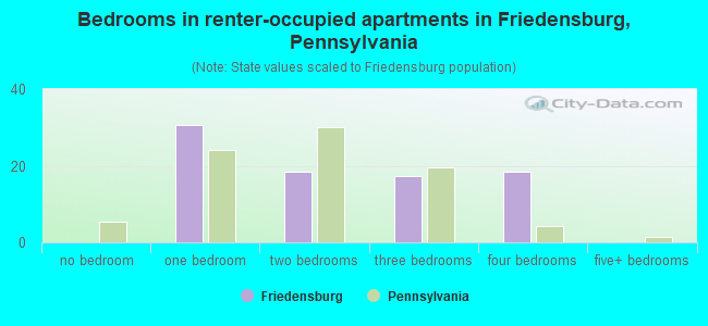 Bedrooms in renter-occupied apartments in Friedensburg, Pennsylvania