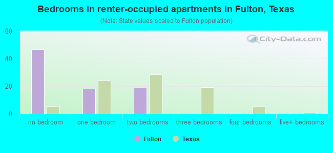 Bedrooms in renter-occupied apartments in Fulton, Texas