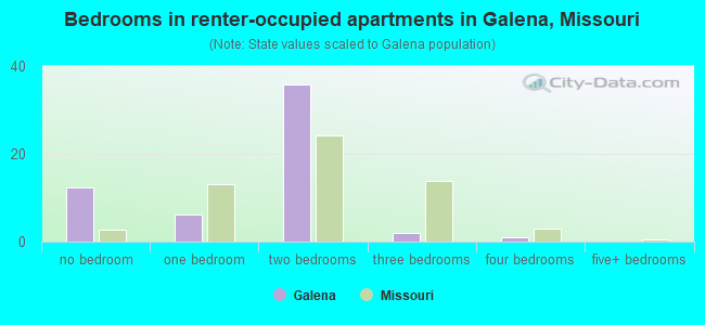 Bedrooms in renter-occupied apartments in Galena, Missouri