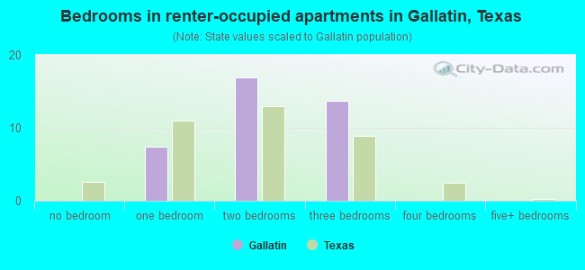 Bedrooms in renter-occupied apartments in Gallatin, Texas