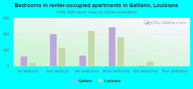 Bedrooms in renter-occupied apartments in Galliano, Louisiana