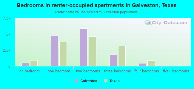 Bedrooms in renter-occupied apartments in Galveston, Texas