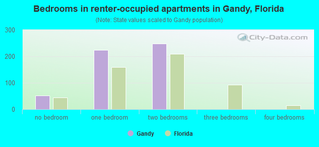 Bedrooms in renter-occupied apartments in Gandy, Florida