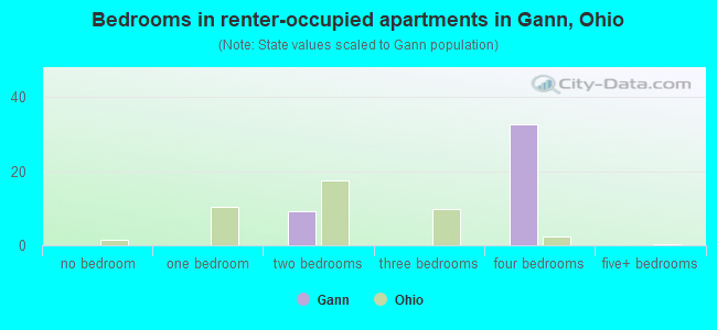 Bedrooms in renter-occupied apartments in Gann, Ohio
