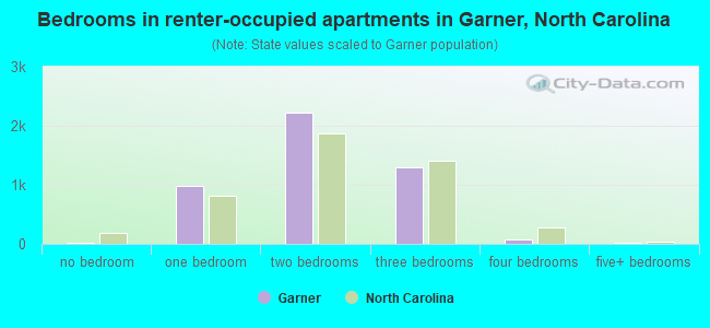 Bedrooms in renter-occupied apartments in Garner, North Carolina