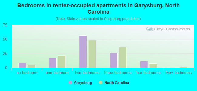 Bedrooms in renter-occupied apartments in Garysburg, North Carolina