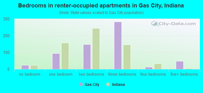 Bedrooms in renter-occupied apartments in Gas City, Indiana