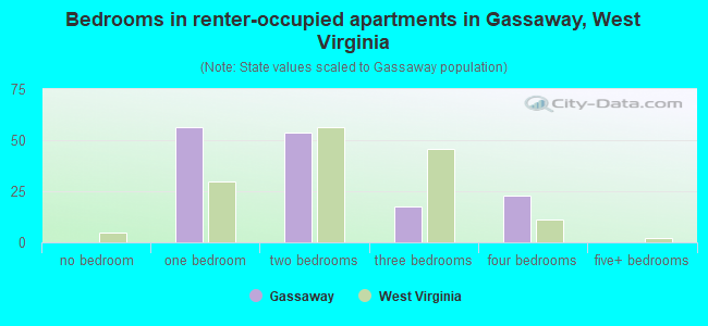 Bedrooms in renter-occupied apartments in Gassaway, West Virginia