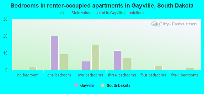 Bedrooms in renter-occupied apartments in Gayville, South Dakota