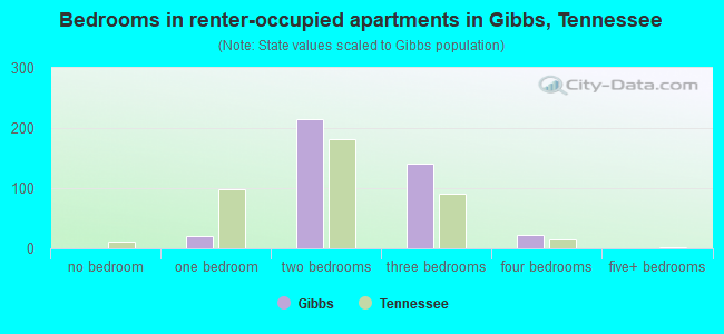 Bedrooms in renter-occupied apartments in Gibbs, Tennessee