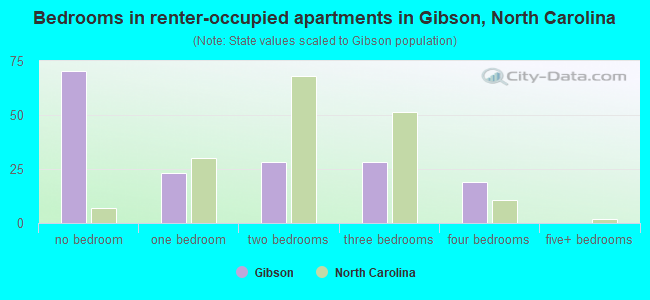 Bedrooms in renter-occupied apartments in Gibson, North Carolina