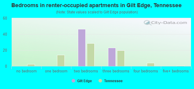 Bedrooms in renter-occupied apartments in Gilt Edge, Tennessee