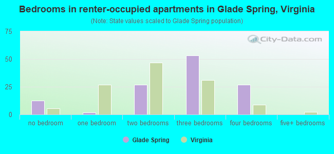 Bedrooms in renter-occupied apartments in Glade Spring, Virginia