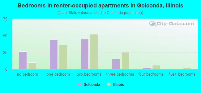 Bedrooms in renter-occupied apartments in Golconda, Illinois