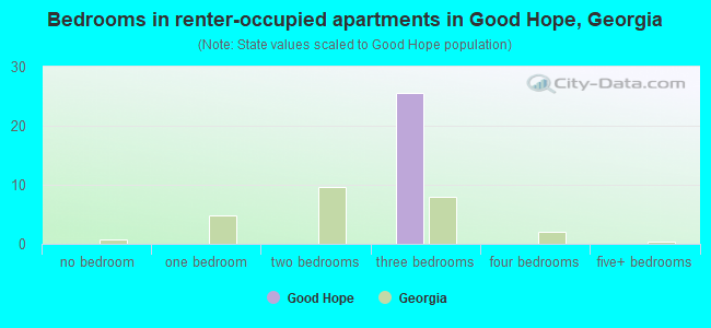 Bedrooms in renter-occupied apartments in Good Hope, Georgia