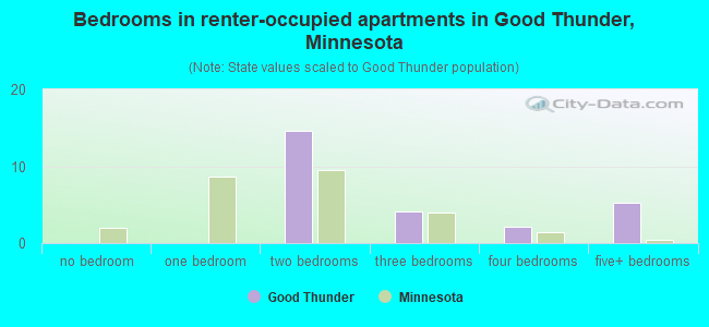 Bedrooms in renter-occupied apartments in Good Thunder, Minnesota