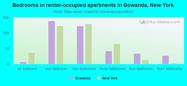 Bedrooms in renter-occupied apartments in Gowanda, New York