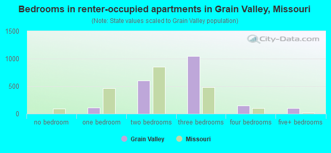 Bedrooms in renter-occupied apartments in Grain Valley, Missouri