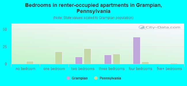 Bedrooms in renter-occupied apartments in Grampian, Pennsylvania