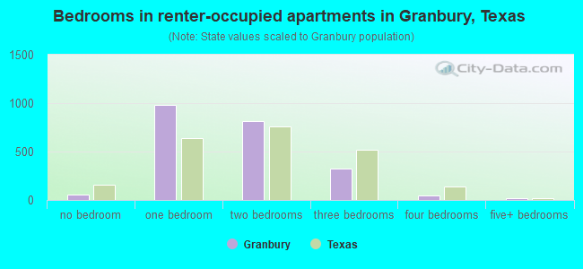 Bedrooms in renter-occupied apartments in Granbury, Texas