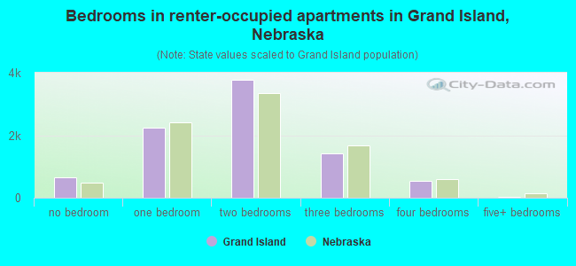 Bedrooms in renter-occupied apartments in Grand Island, Nebraska