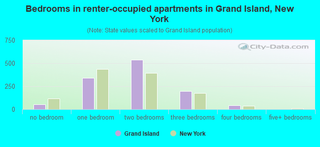 Bedrooms in renter-occupied apartments in Grand Island, New York