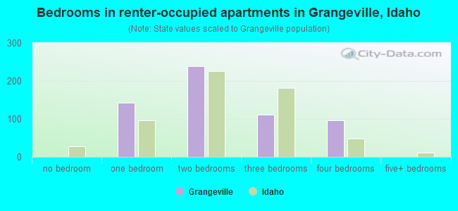 Bedrooms in renter-occupied apartments in Grangeville, Idaho