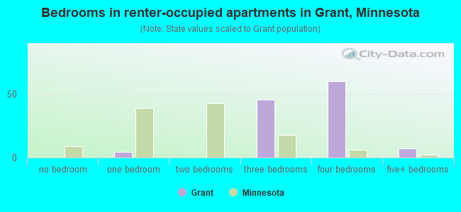 Bedrooms in renter-occupied apartments in Grant, Minnesota