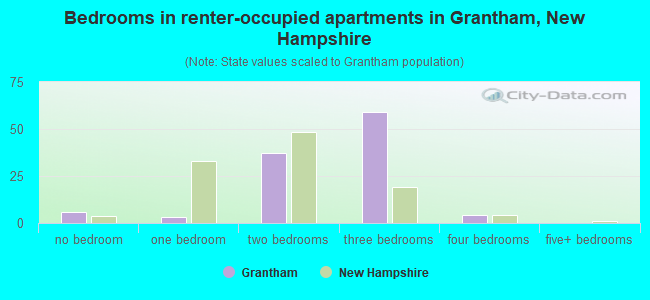 Bedrooms in renter-occupied apartments in Grantham, New Hampshire