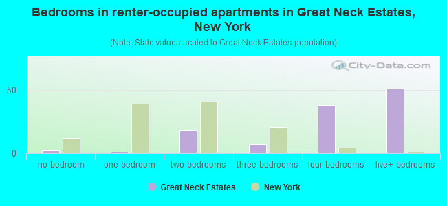 Bedrooms in renter-occupied apartments in Great Neck Estates, New York