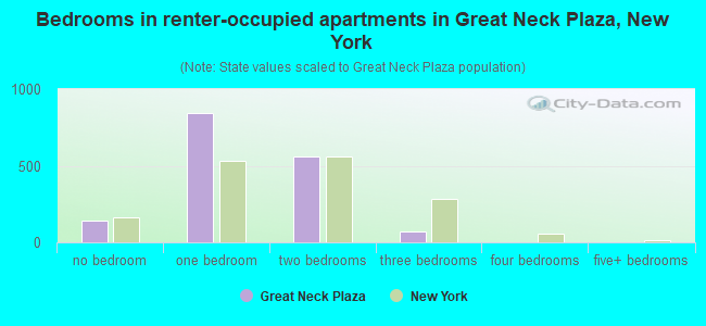 Bedrooms in renter-occupied apartments in Great Neck Plaza, New York