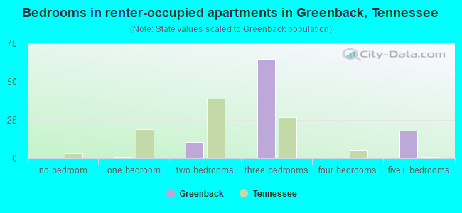 Bedrooms in renter-occupied apartments in Greenback, Tennessee